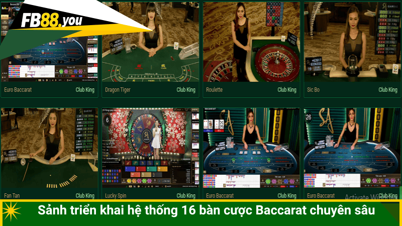 Sảnh triển khai hệ thống 16 bàn cược Baccarat chuyên sâu