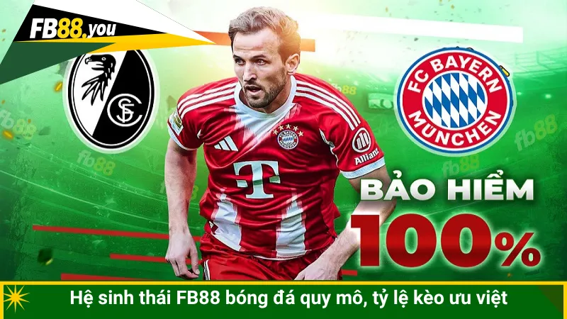 Hệ sinh thái FB88 bóng đá quy mô, tỷ lệ kèo ưu việt
